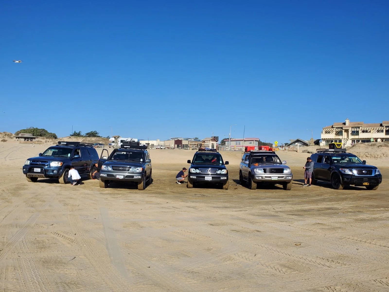 IMG-20191031-WA0000.webp