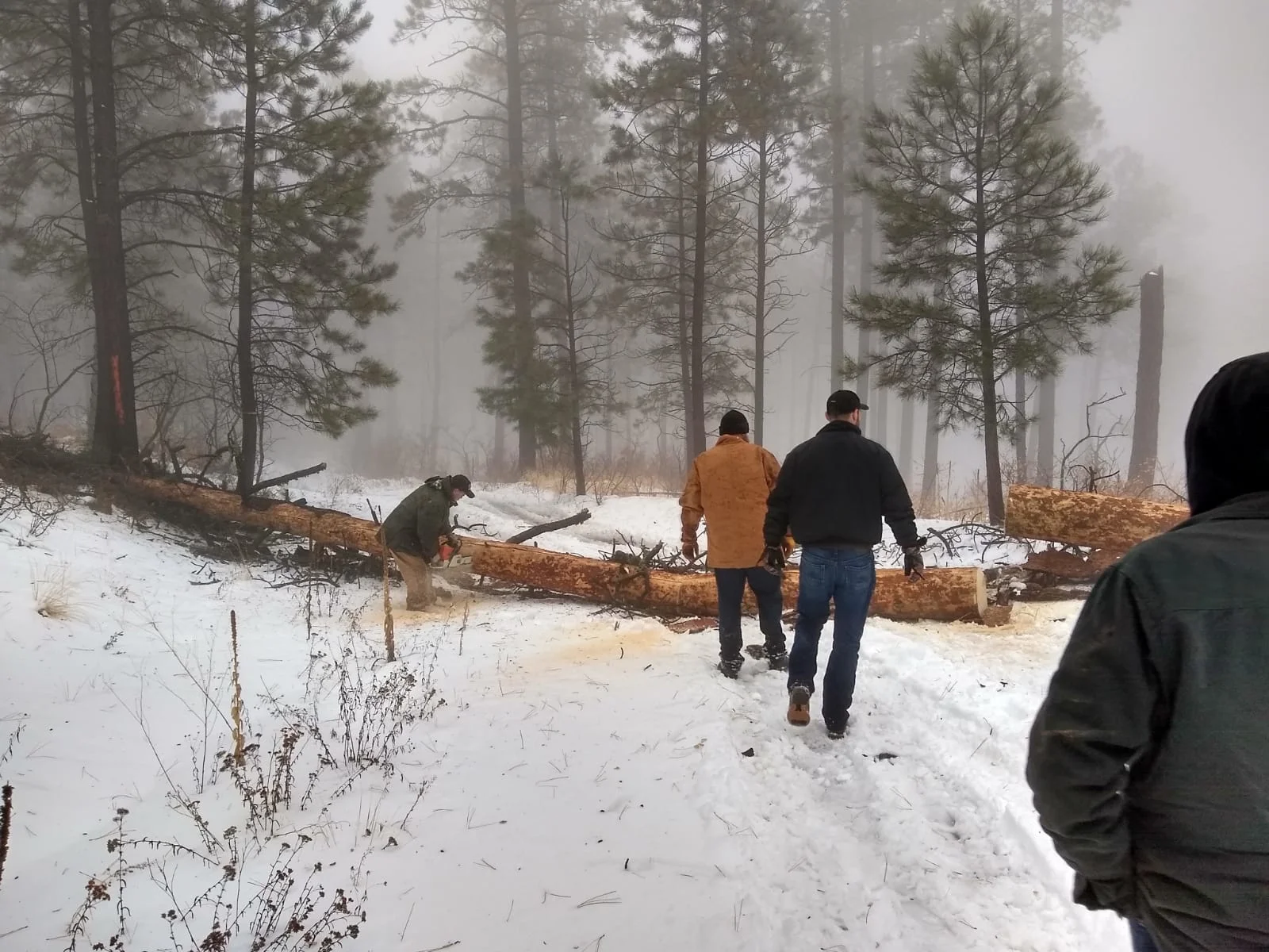 IMG-20191129-WA0011.webp