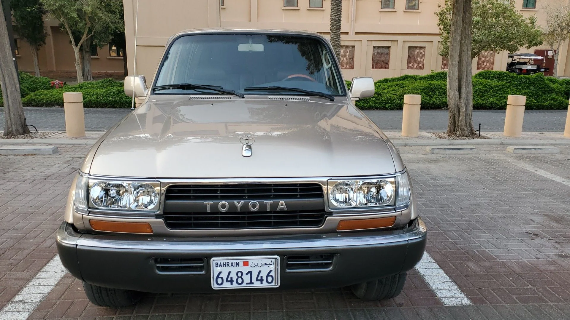 IMG-20210116-WA0007.webp