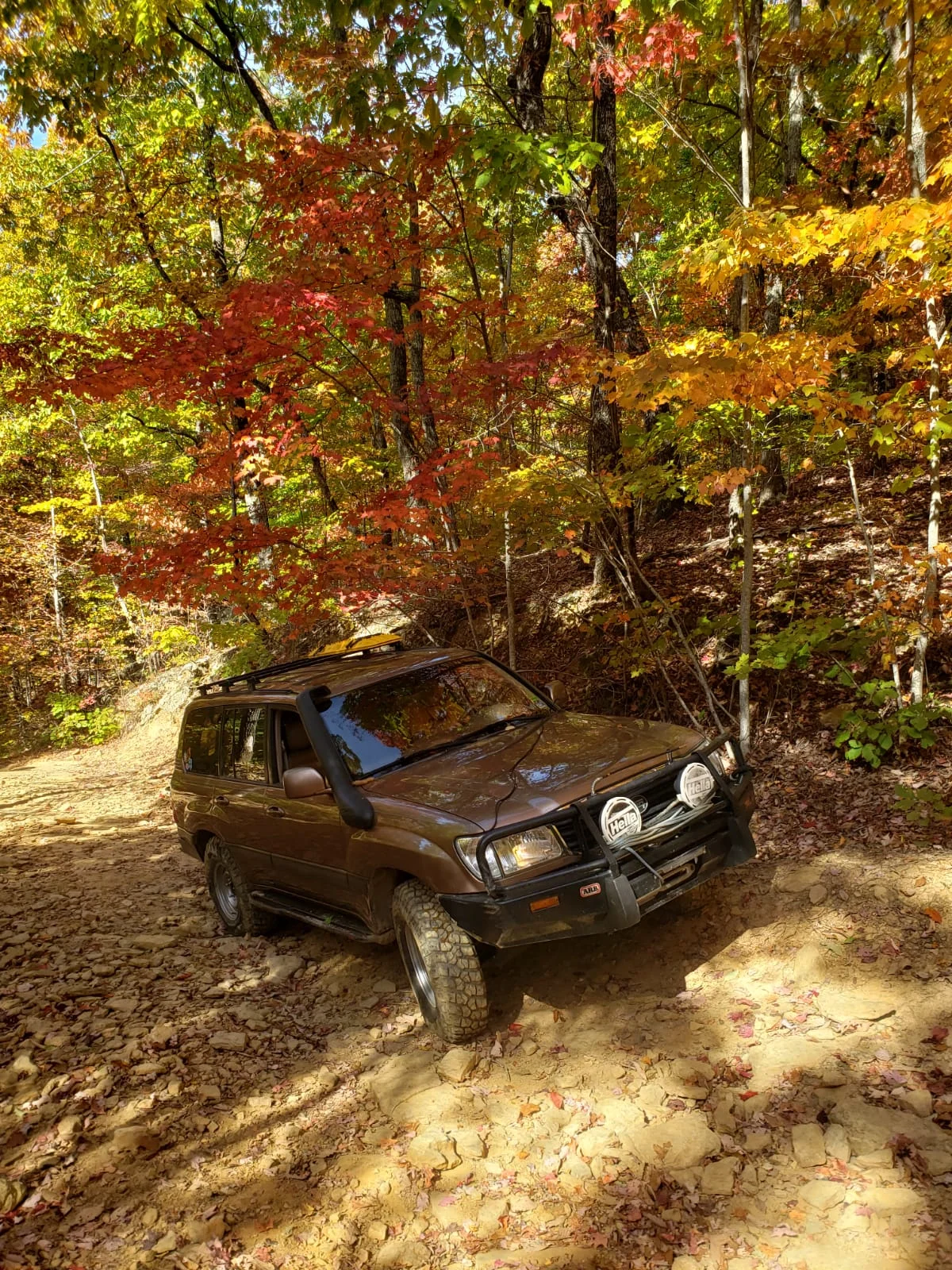 IMG-20221023-WA0033.webp