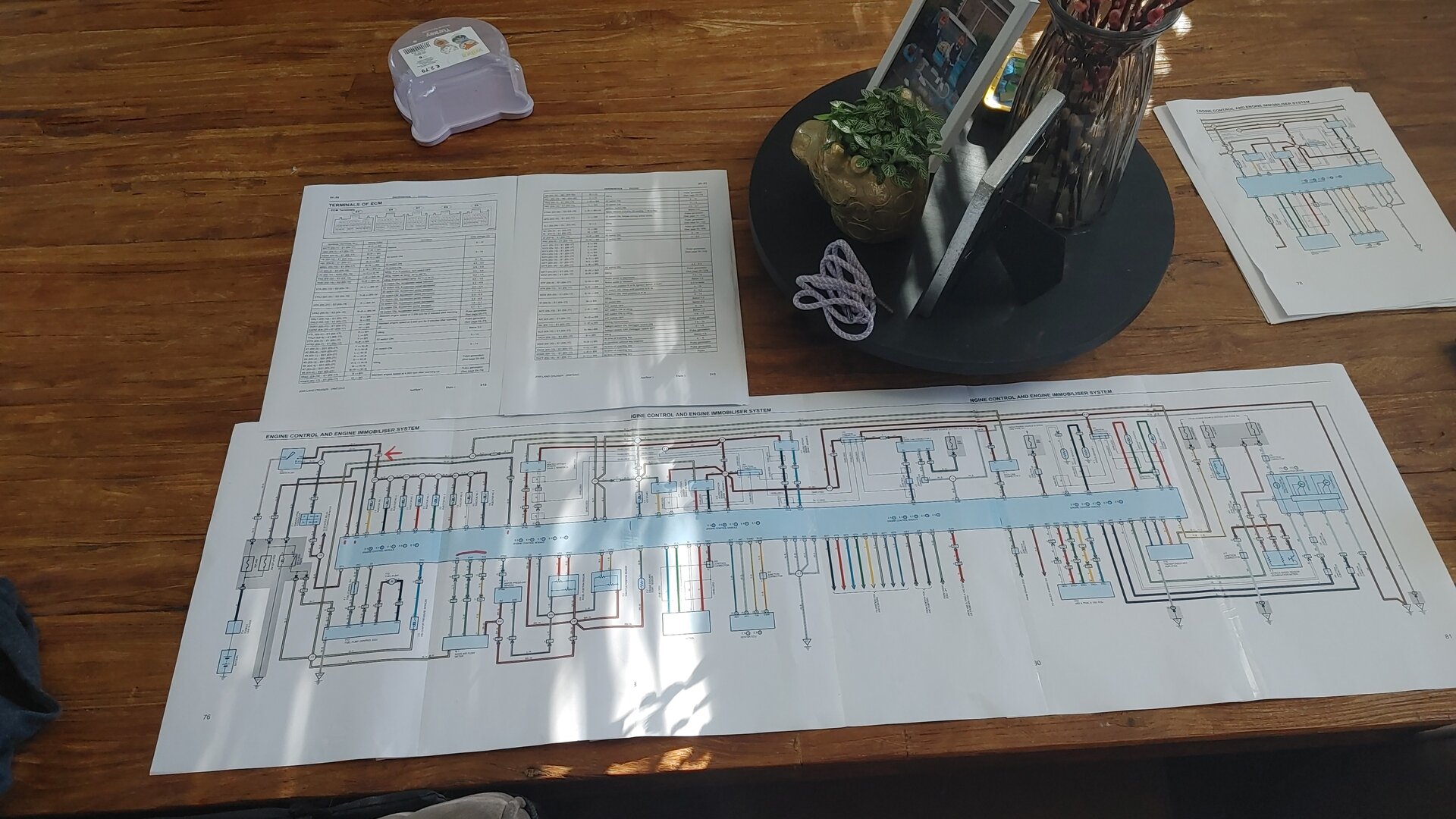 IMG-20230820-WA0002.jpeg