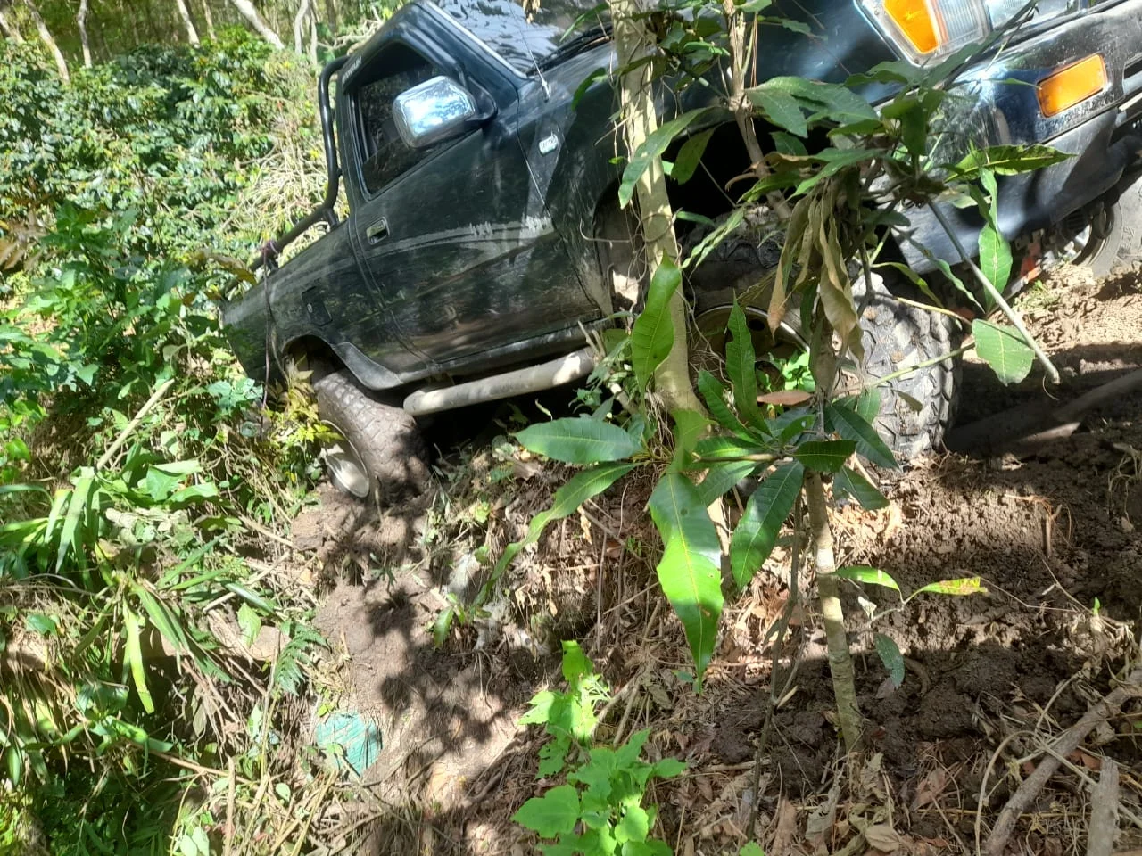 IMG-20240310-WA0156.webp