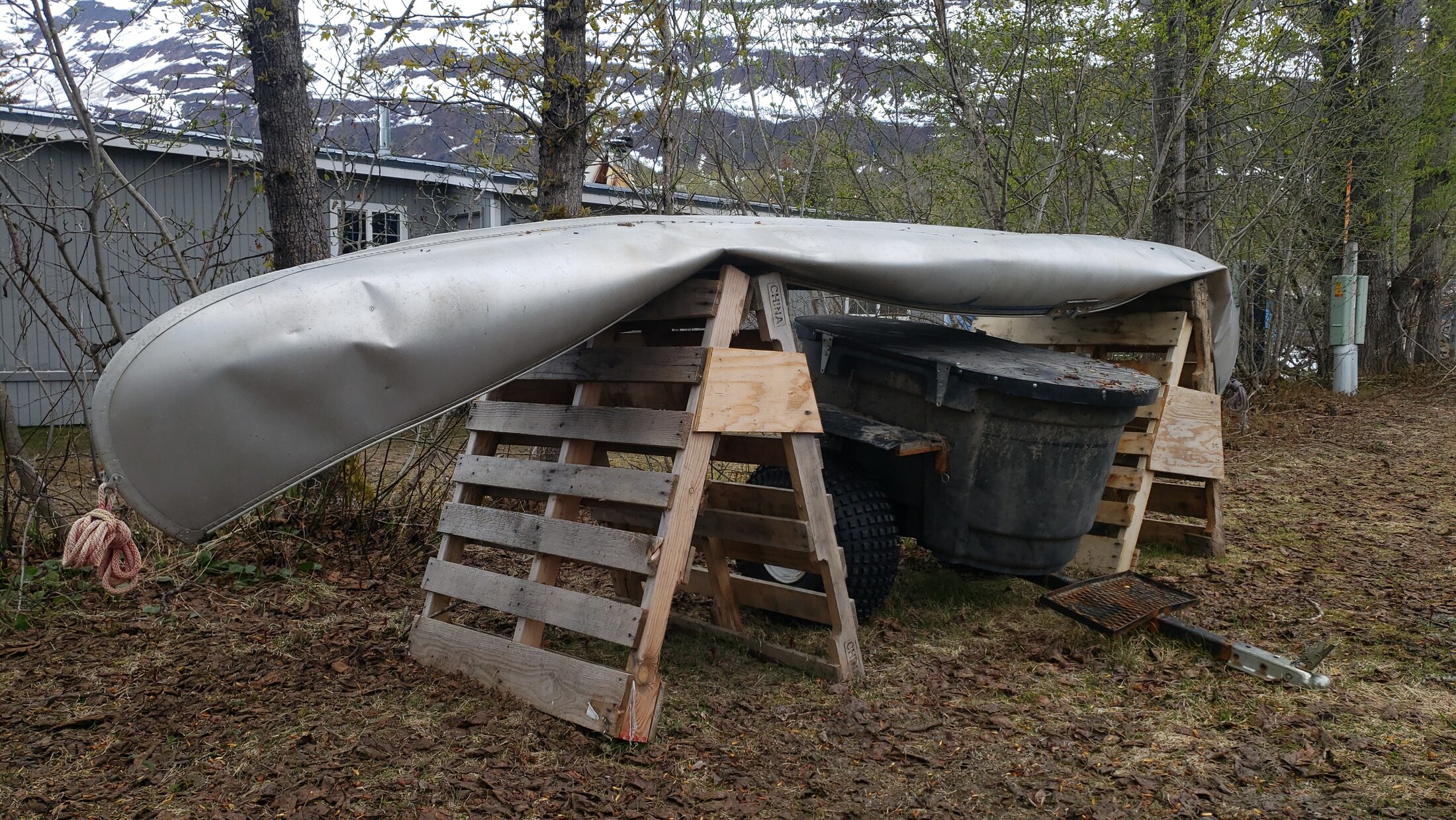 IMG-20240520-WA0000.jpeg