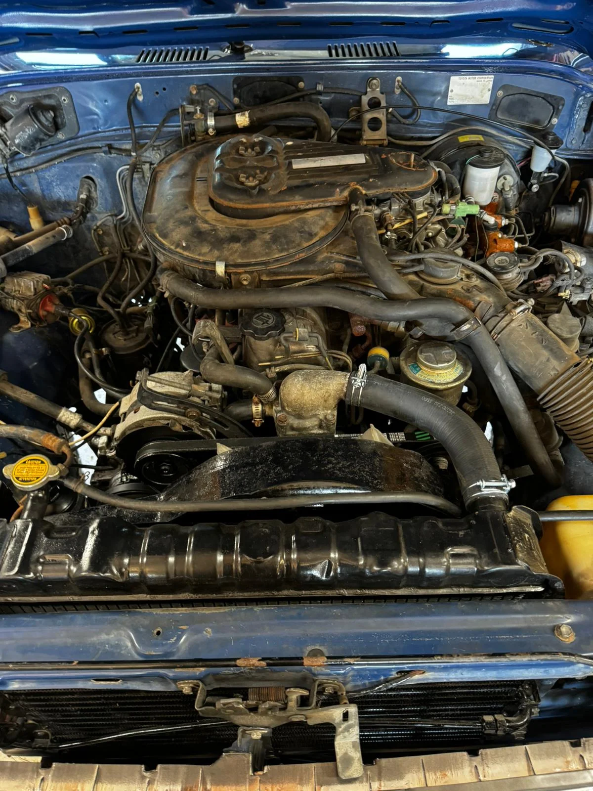 IMG-20241110-WA0006.webp