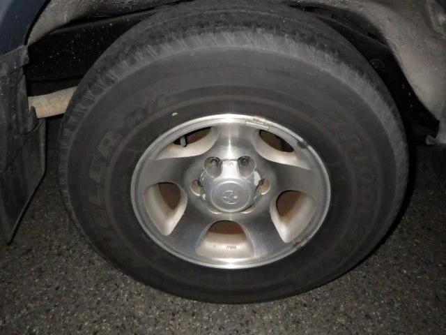 IMG-20241114-WA0012.jpg