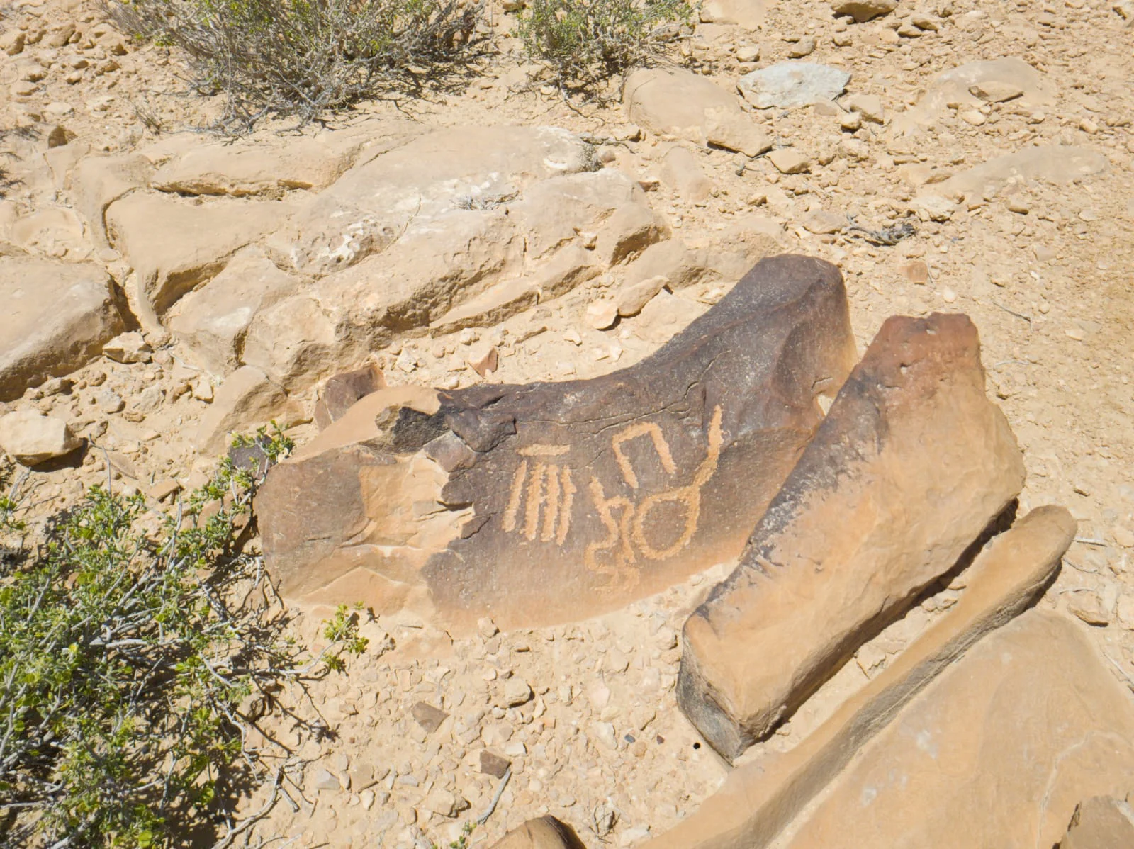 IMG-20250418-WA0010.webp