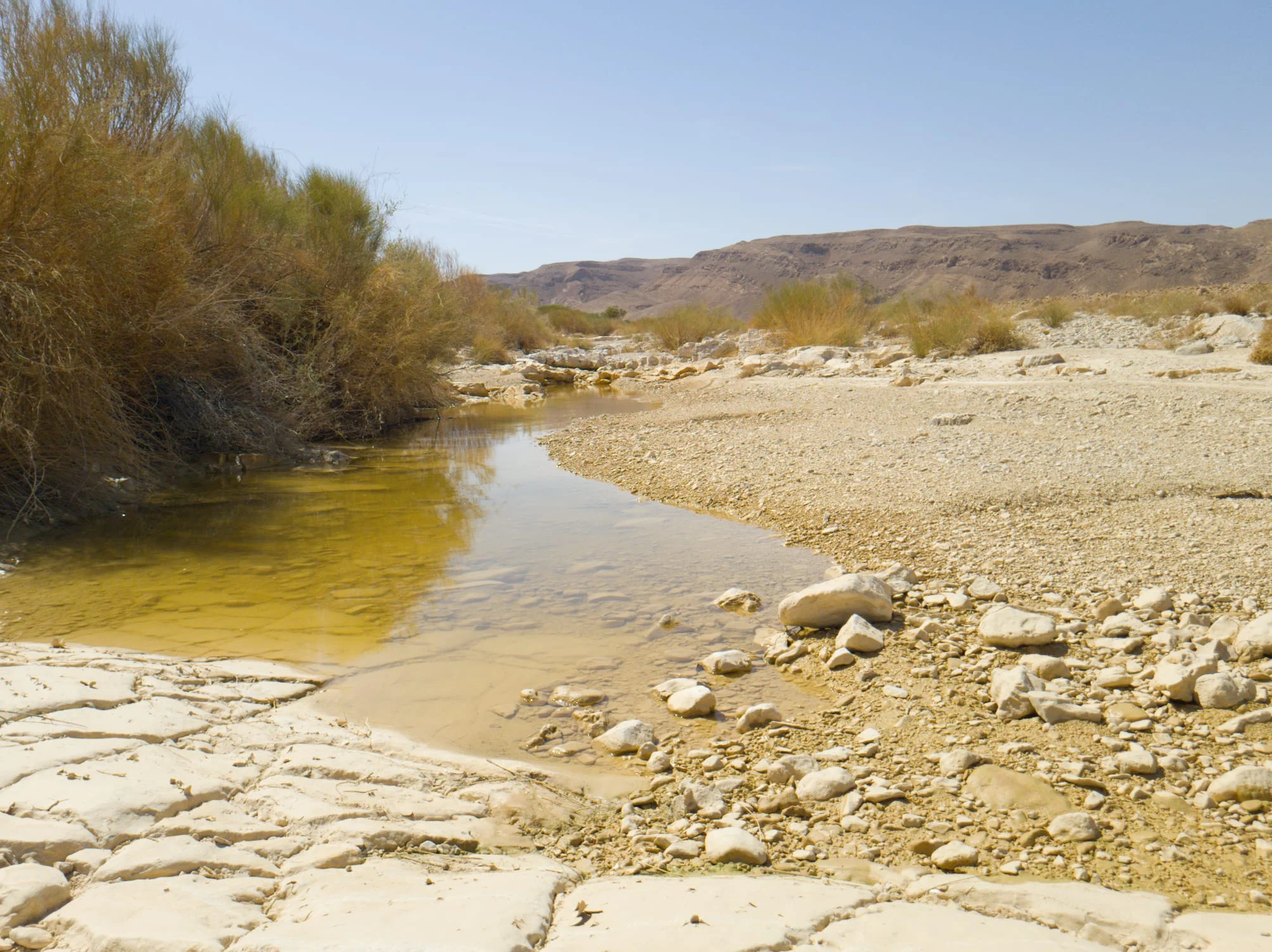 IMG-20250510-WA0013.webp