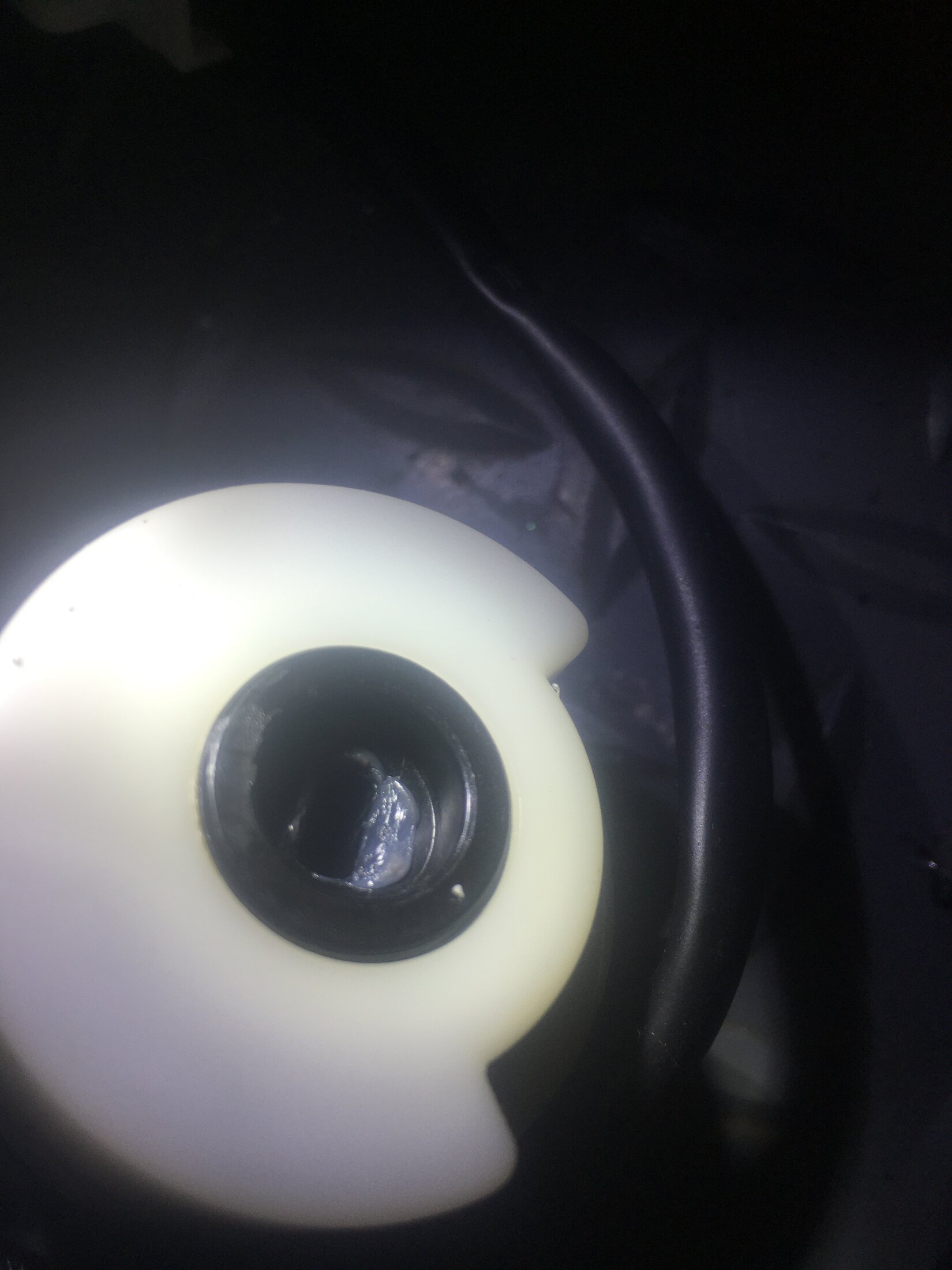 IMG-4443.jpeg