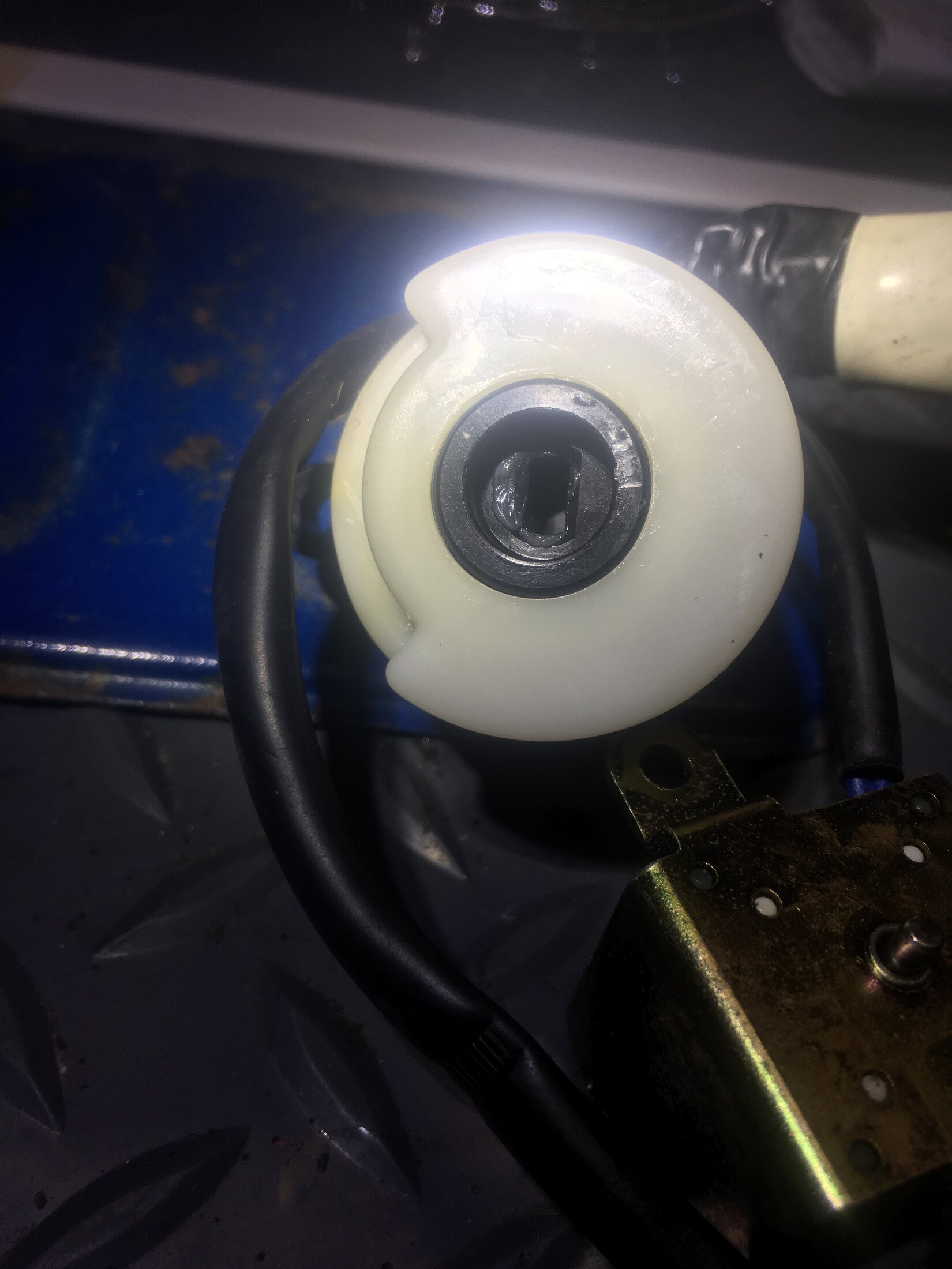 IMG-4451.jpeg