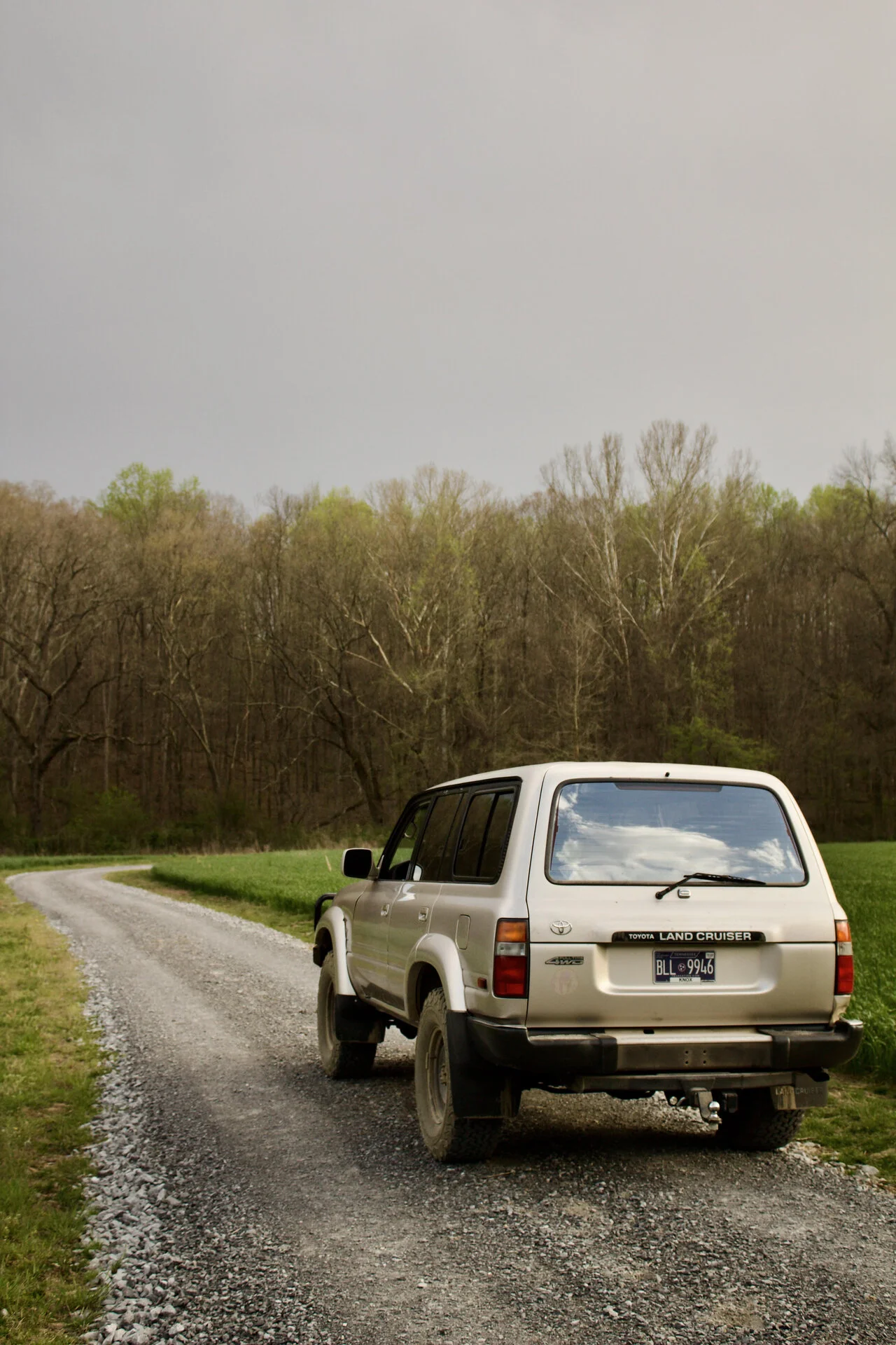 img 4483.webp