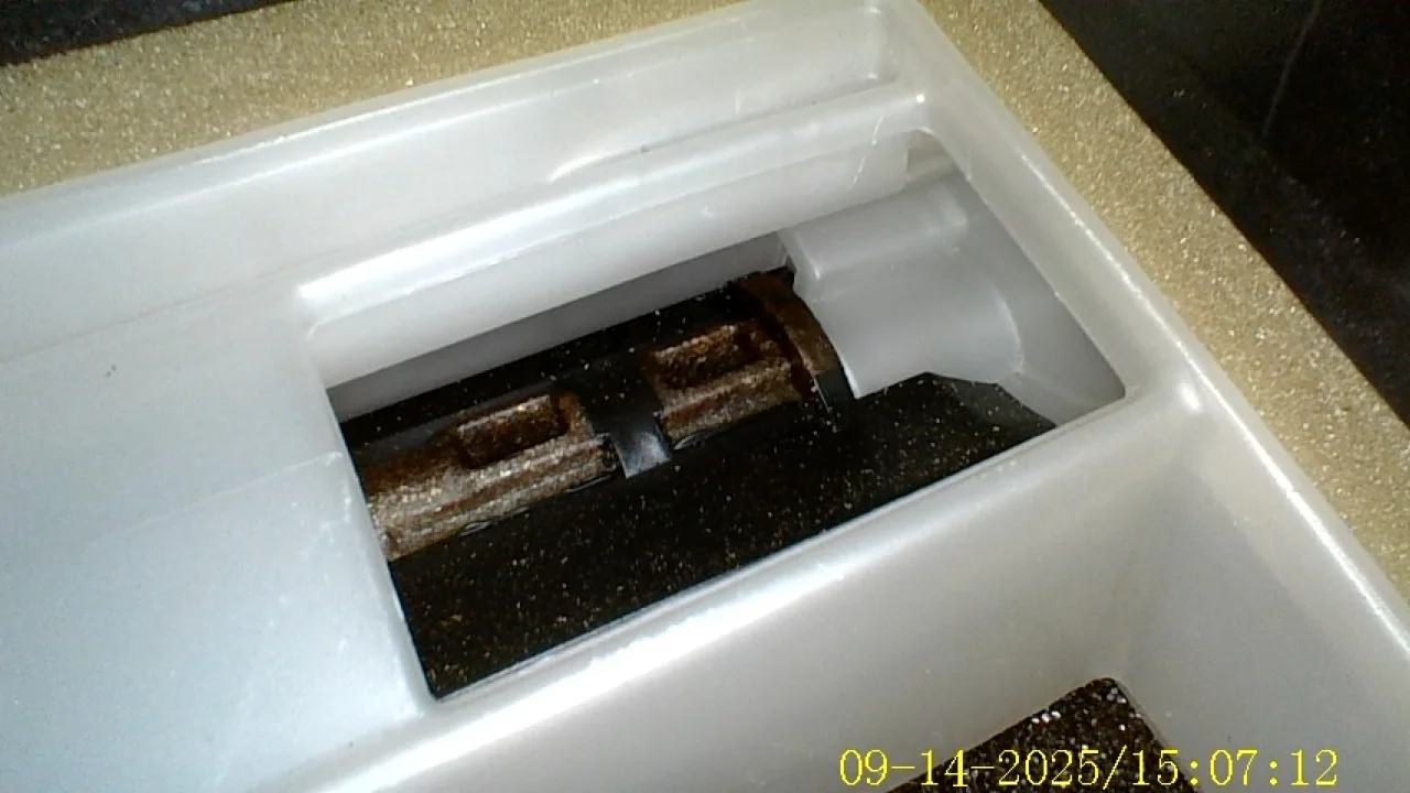 IMG-9581.webp