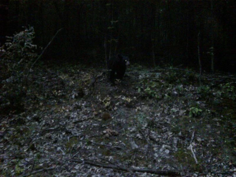 IMG00005-20110827-0645.webp