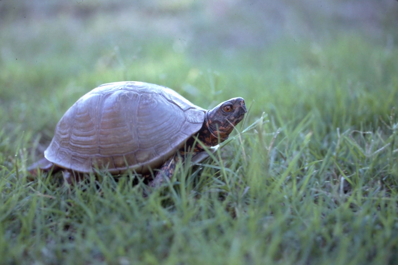 IMG00008.jpg