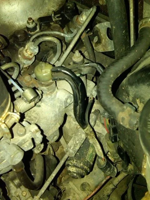 IMG00019-20090303-1846.webp