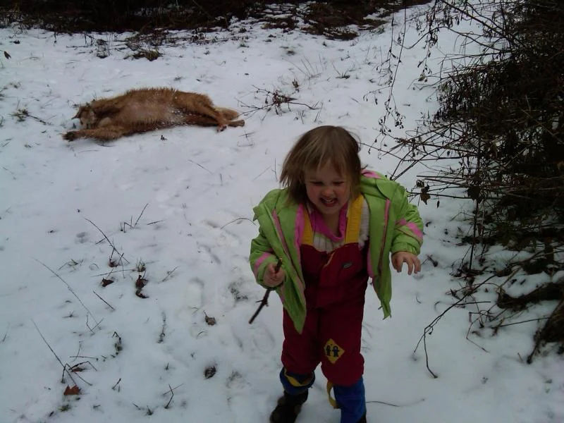 IMG00025-20101218-0907.webp