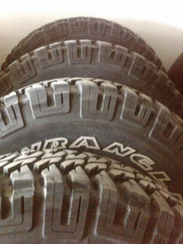 IMG00038-20090216-1254.webp