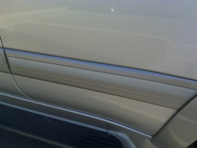 IMG00039 trim.webp