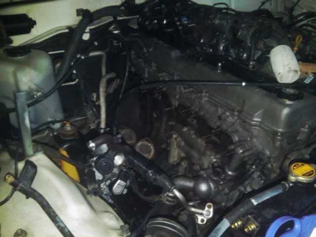 IMG00074-20100401-1955.webp