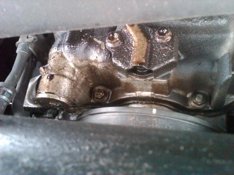 IMG00097-20100621-1130.webp