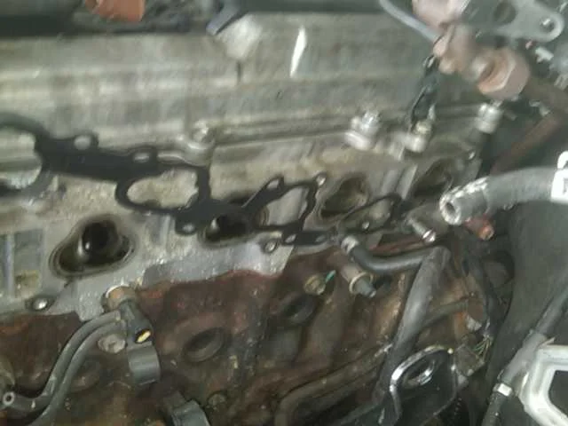 IMG00100-20100407-1639.webp