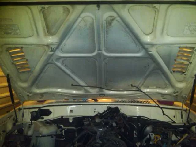IMG00124-20100414-2318.webp