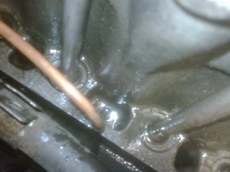 IMG00153-20090901-1735.webp