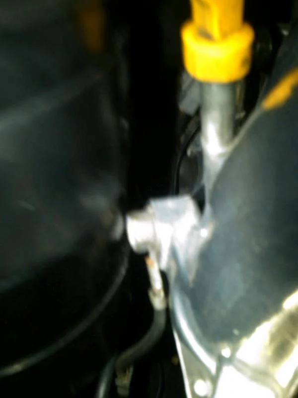 IMG00402-20110702-2201.webp