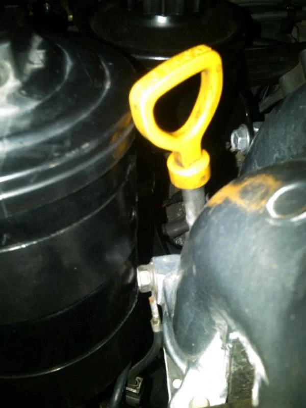 IMG00403-20110702-2202.webp