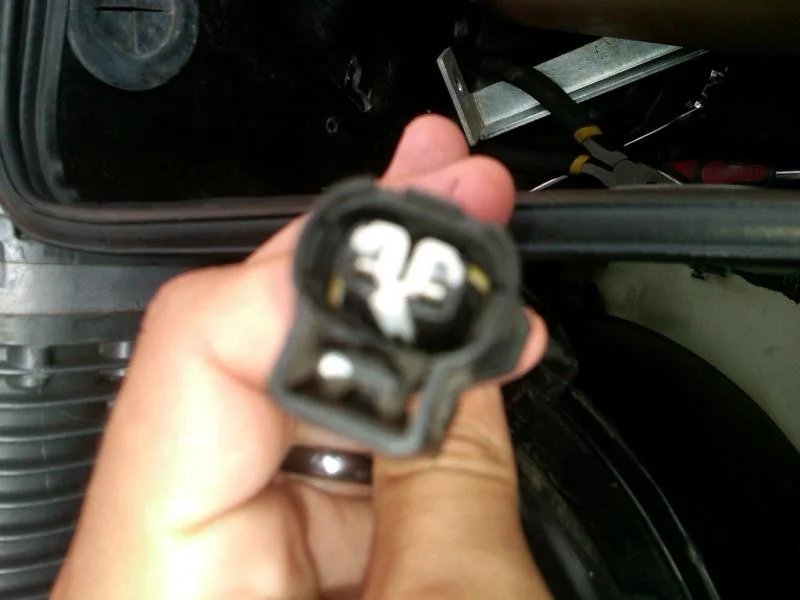 IMG00410-20110704-1759.webp