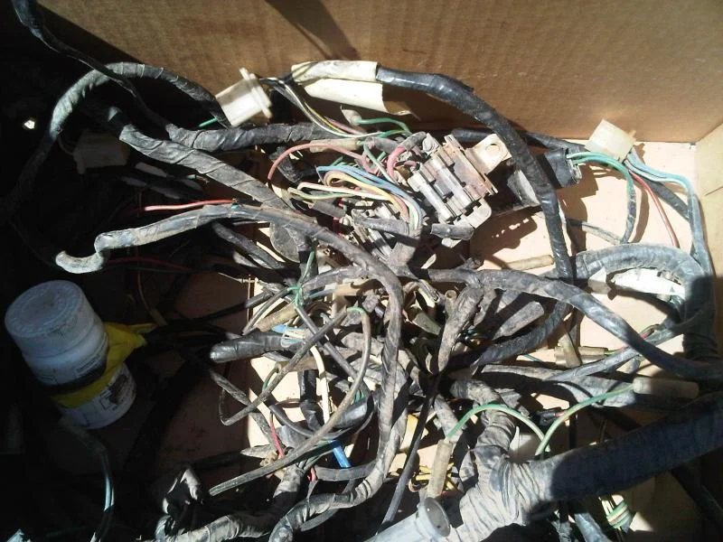 IMG00546-20110513-1510.webp