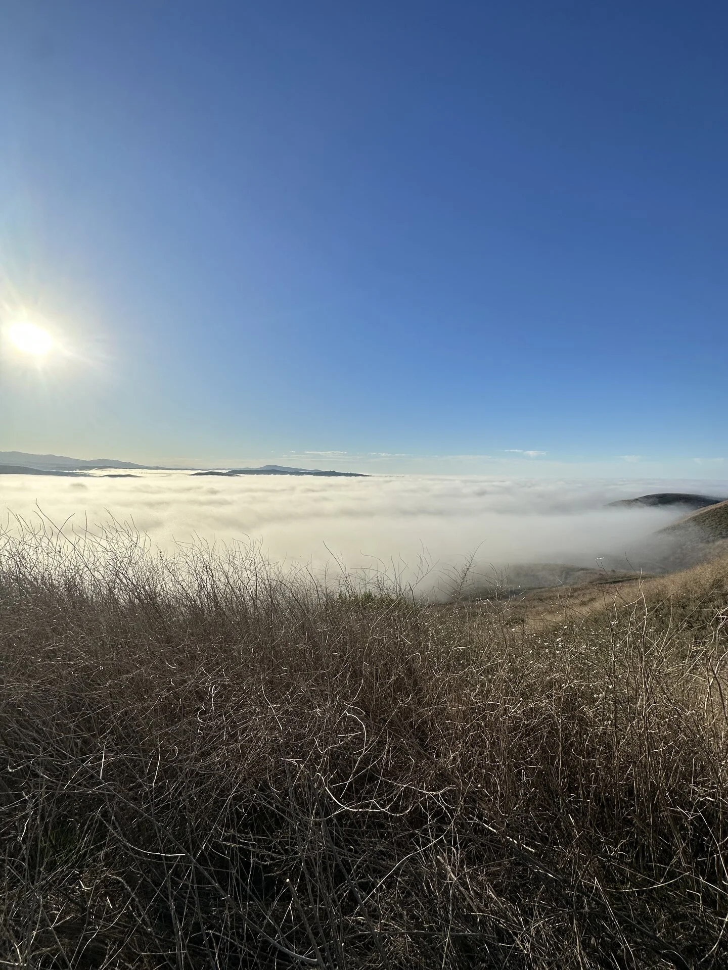 IMG_0062.jpeg