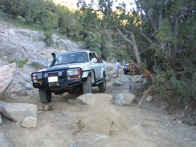 IMG_0110 (Small).webp