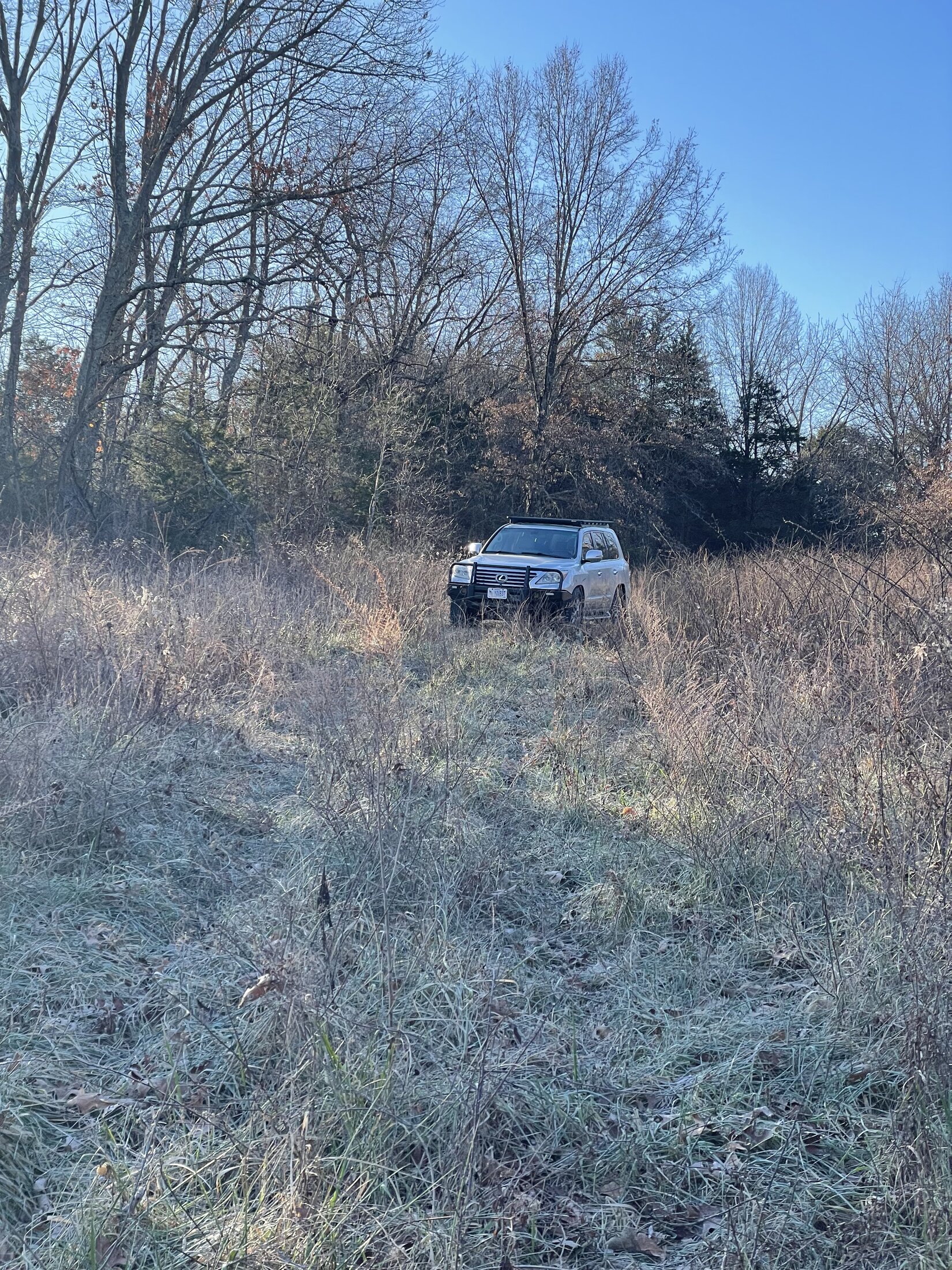IMG_0181.jpeg