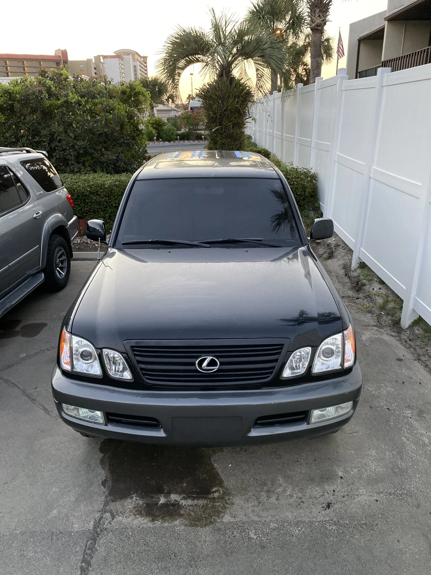 IMG_0266[1].webp
