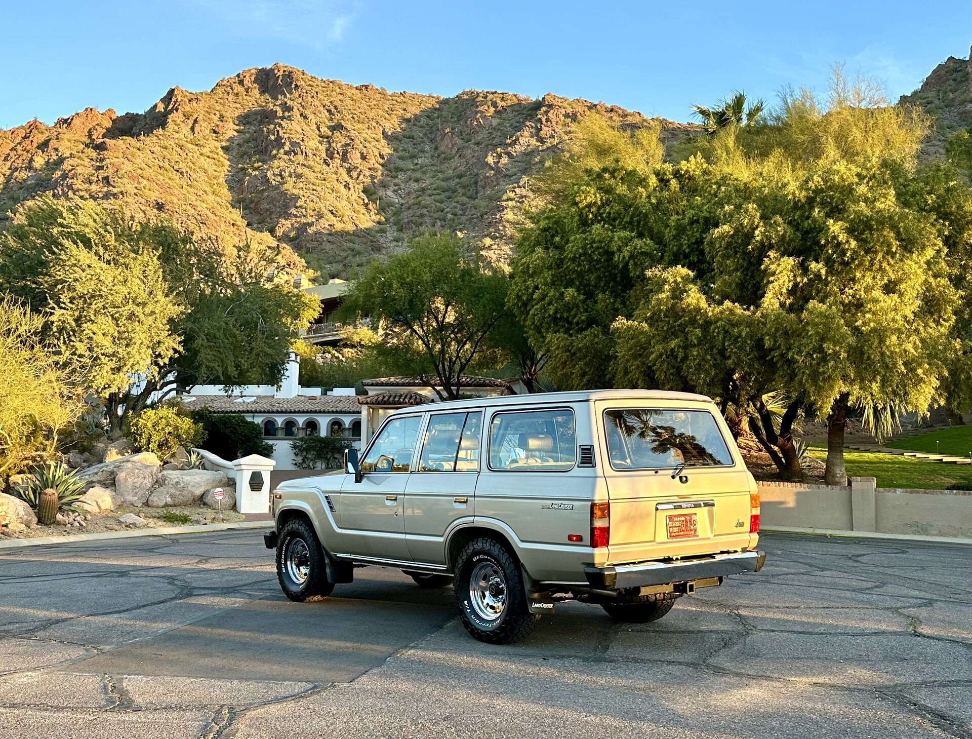 IMG_0517.jpeg