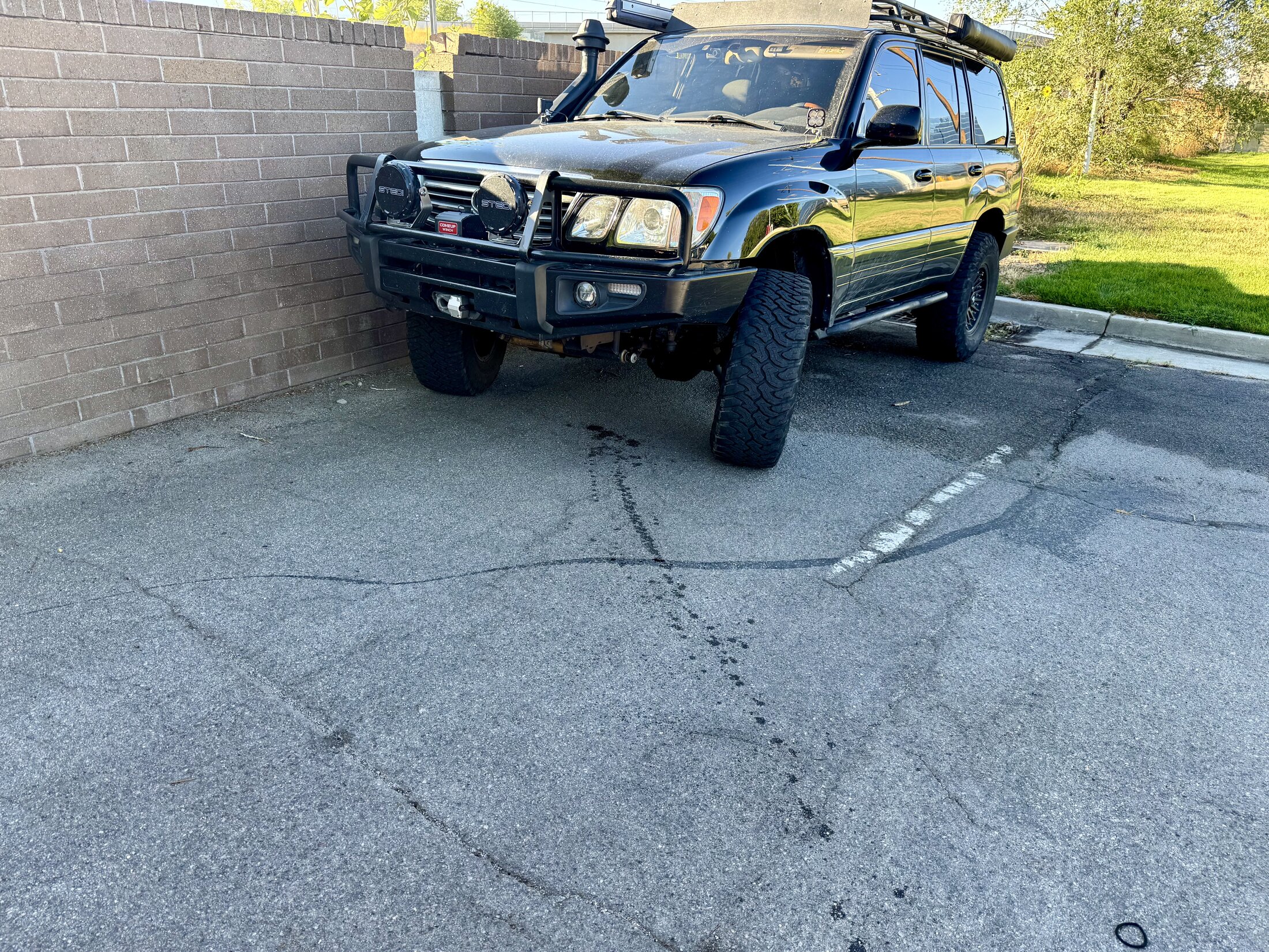 IMG_0787.jpeg