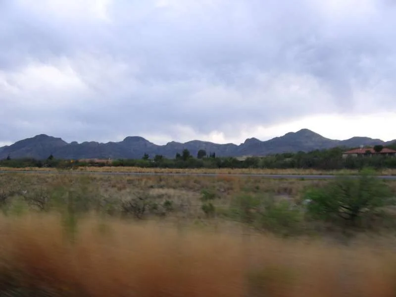 IMG_0848-F800x600.webp