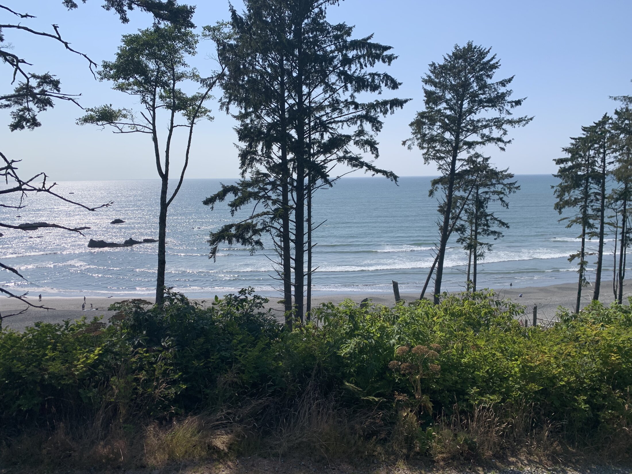 IMG_0911.jpeg
