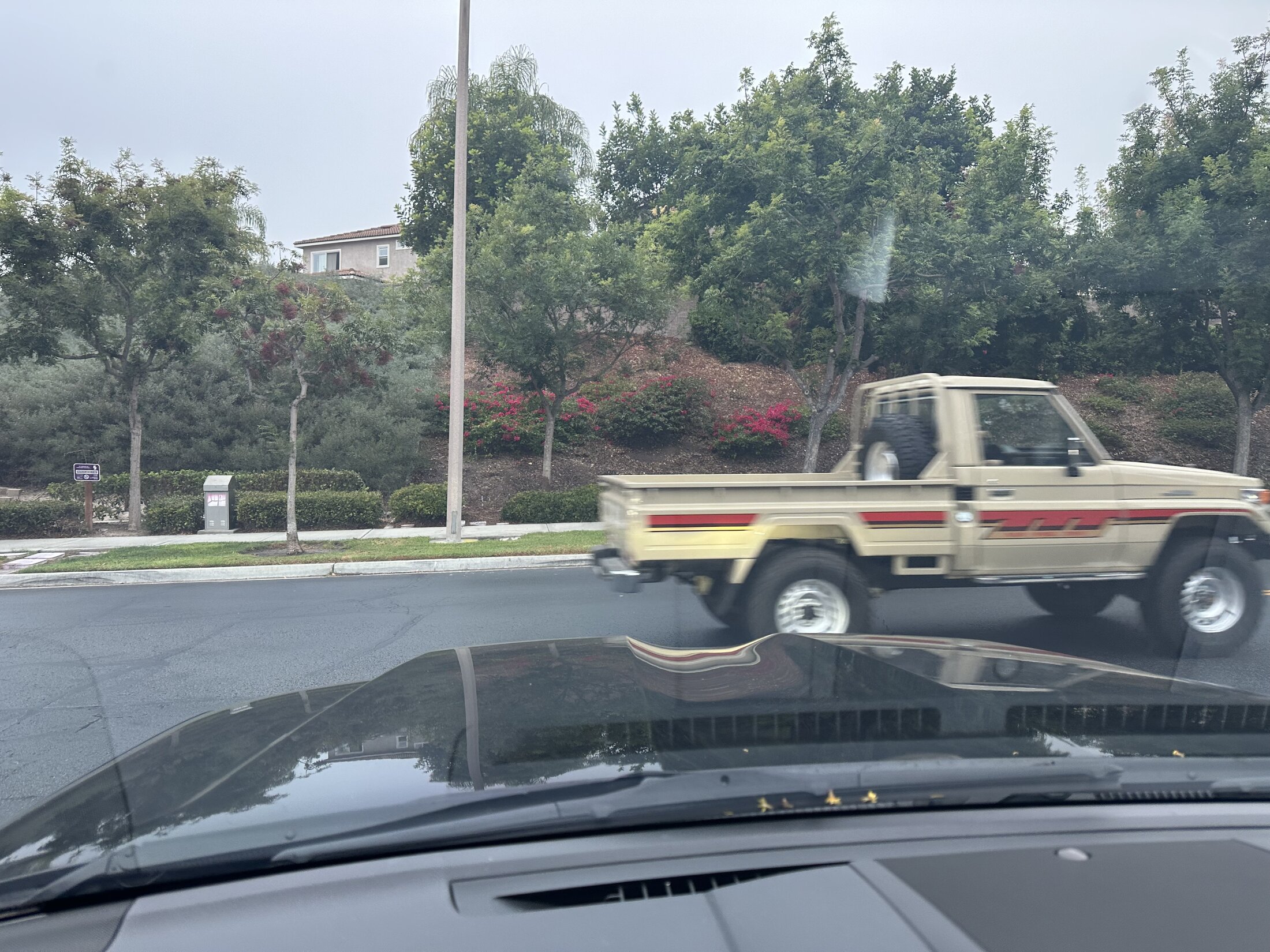 IMG_0992.jpeg
