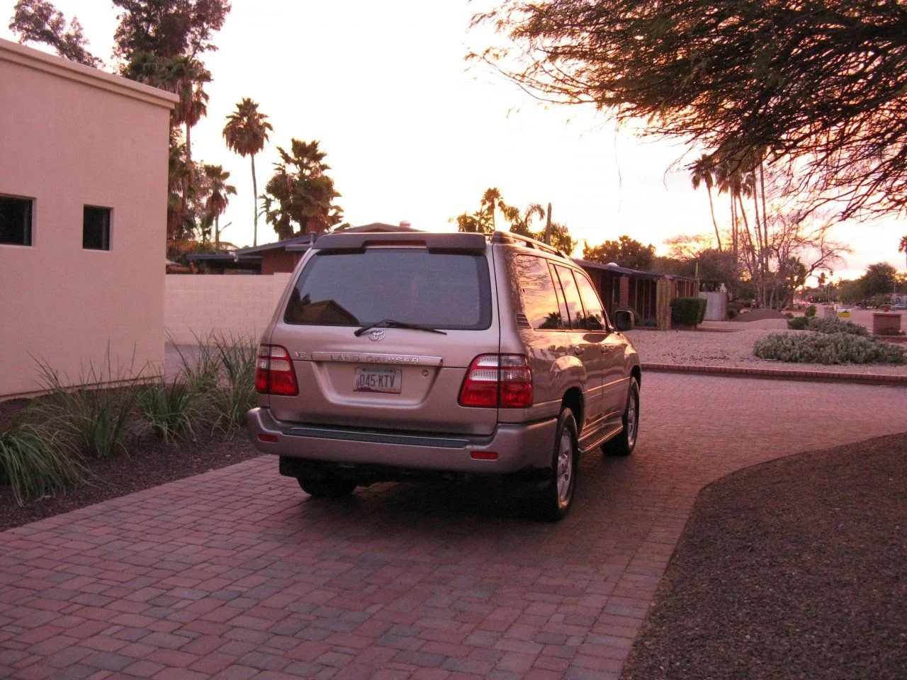 IMG_1122.webp