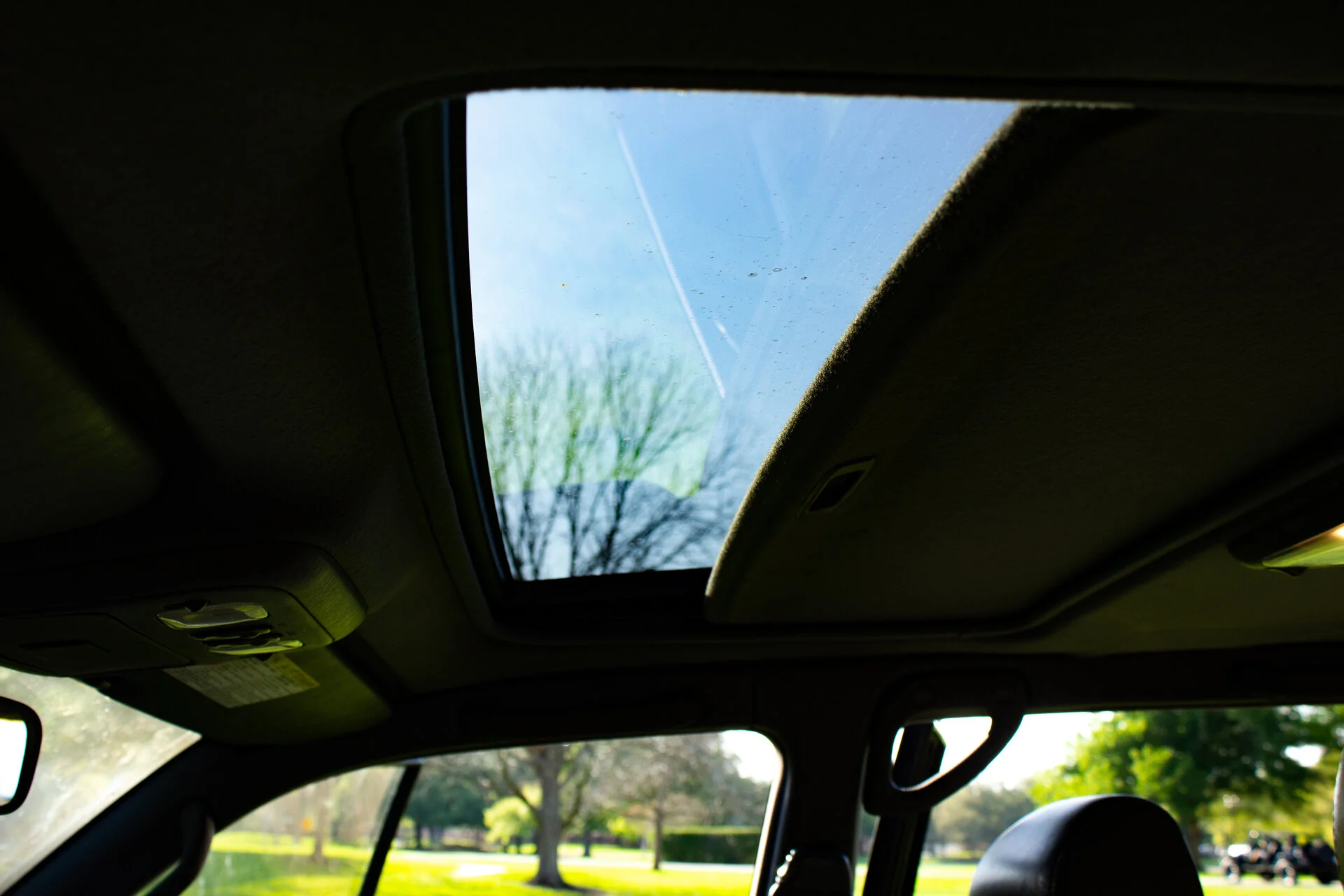 IMG_1203.webp