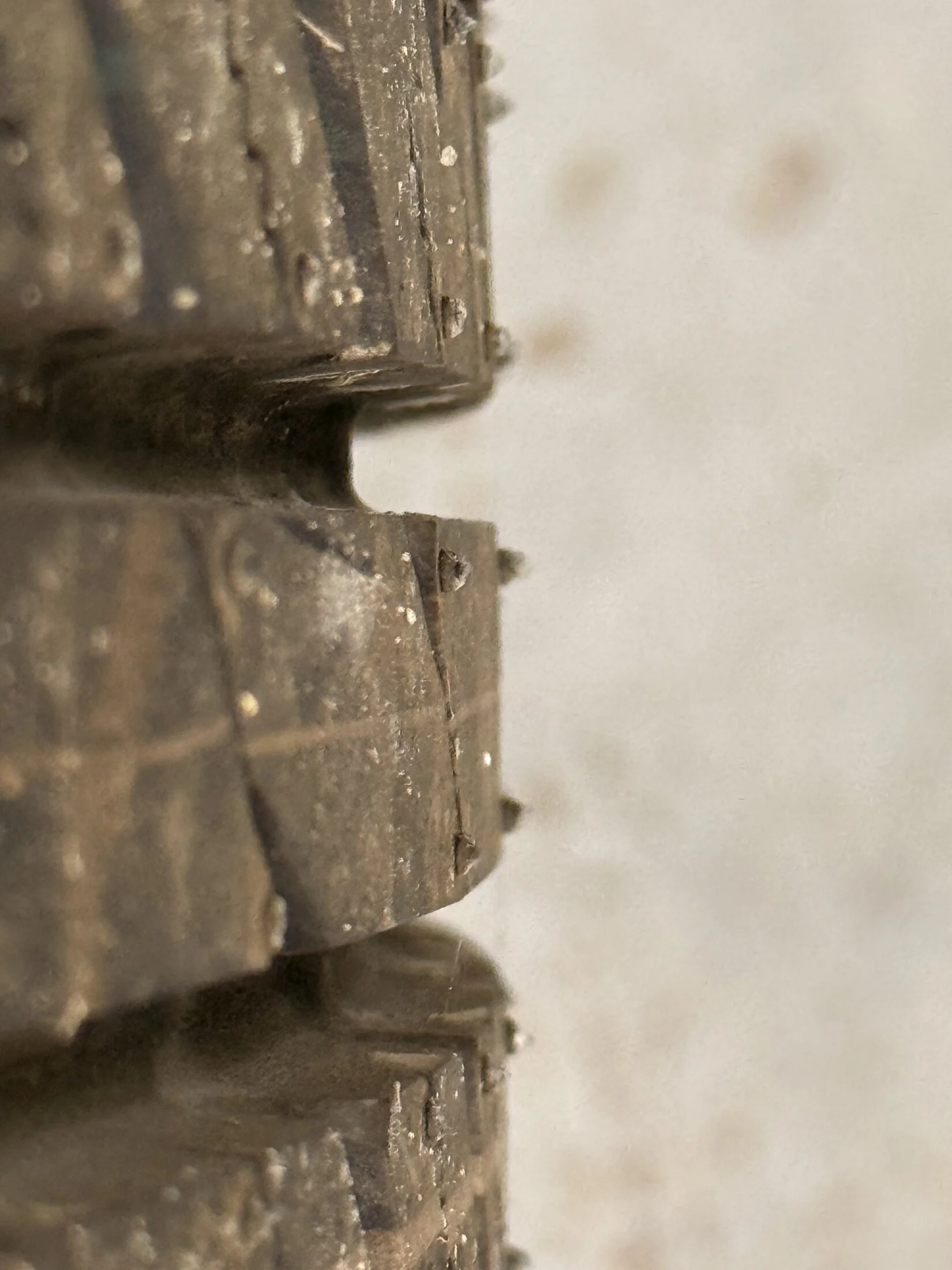 IMG_1212.webp