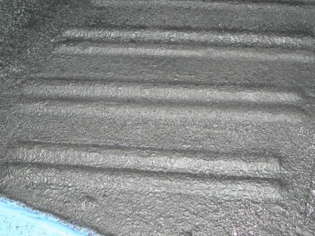 IMG_1219.webp