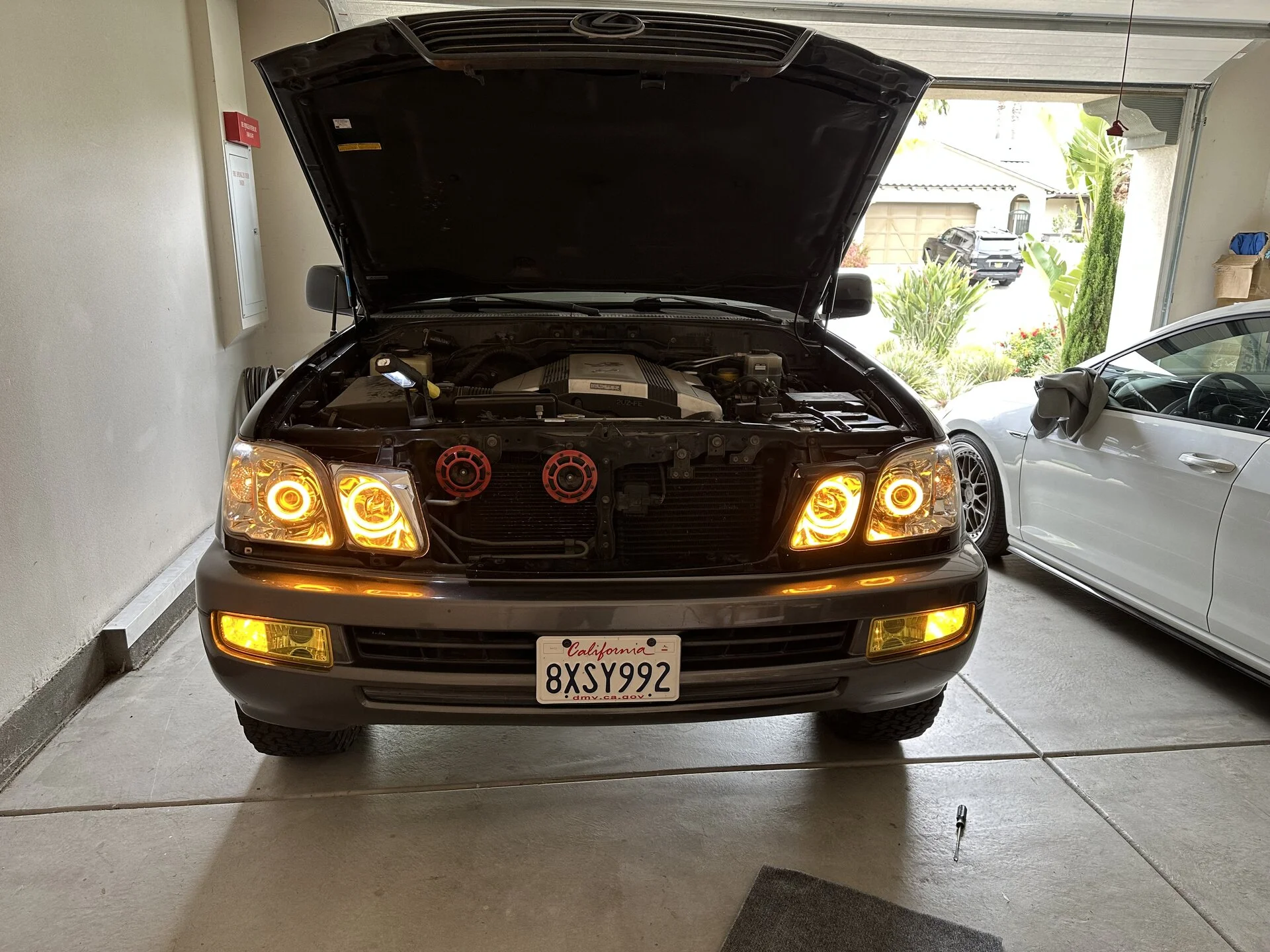 IMG_1515.jpeg