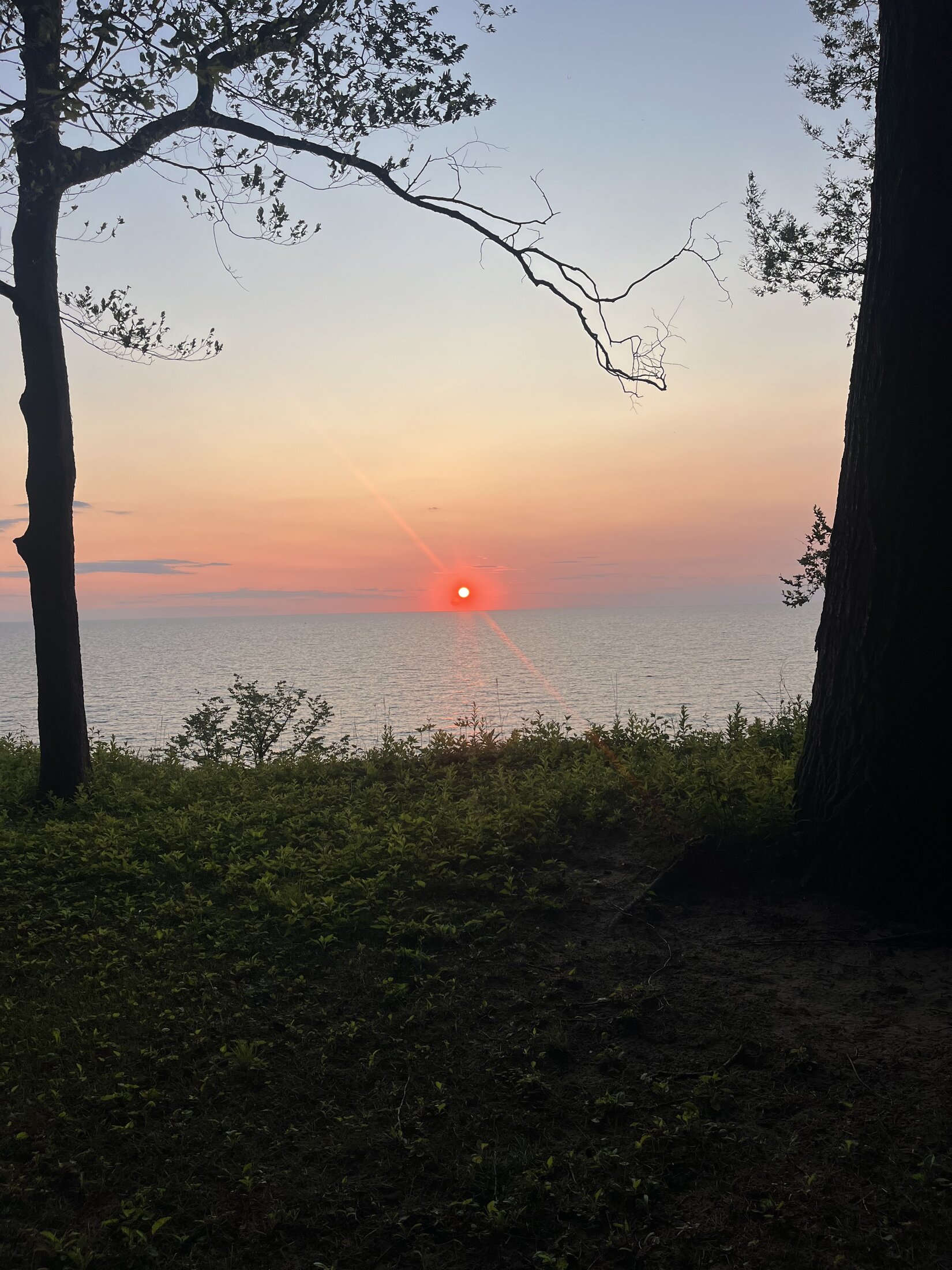 IMG_1608.jpeg