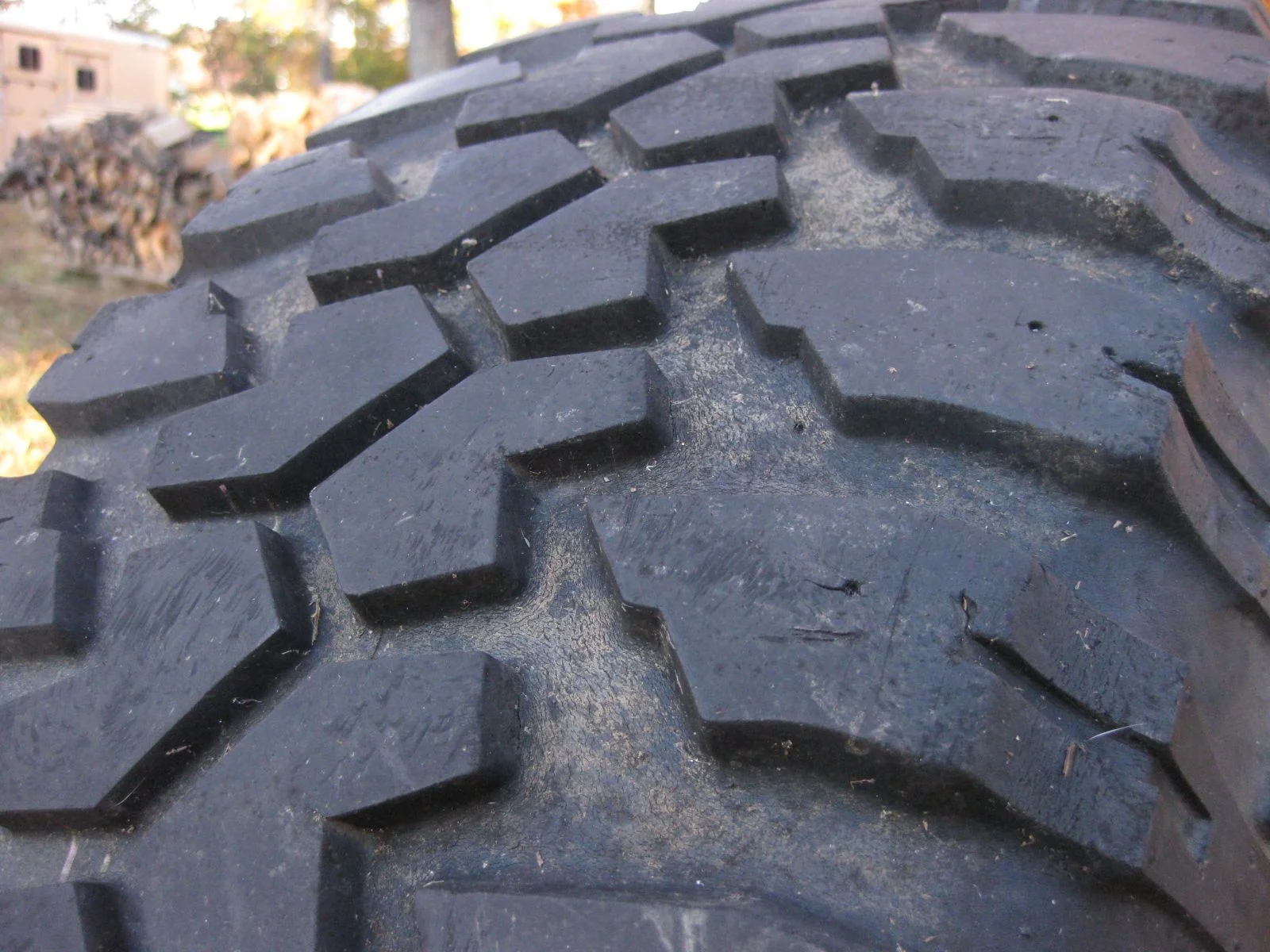 IMG_1659.webp