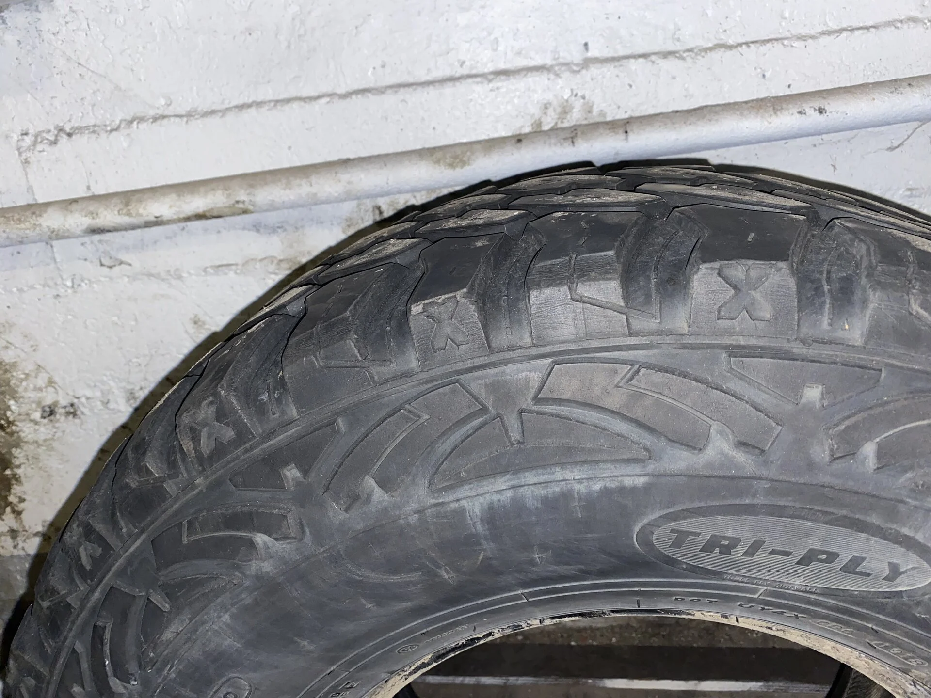 IMG_1791.webp