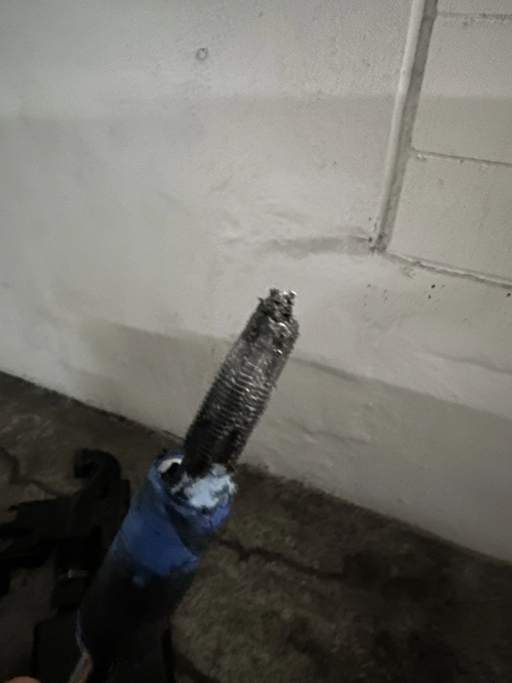 IMG_1912.webp
