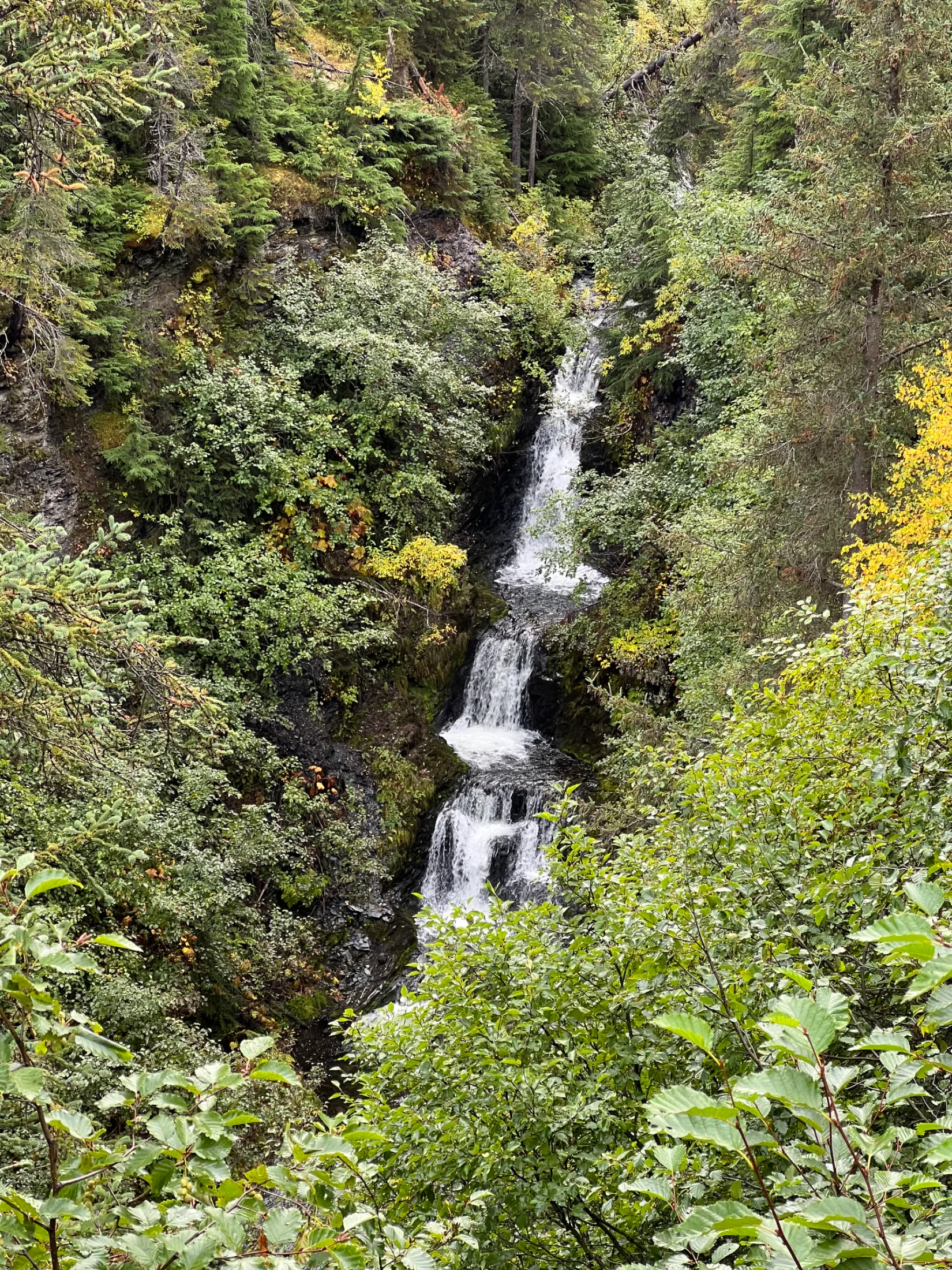 IMG_1937.webp
