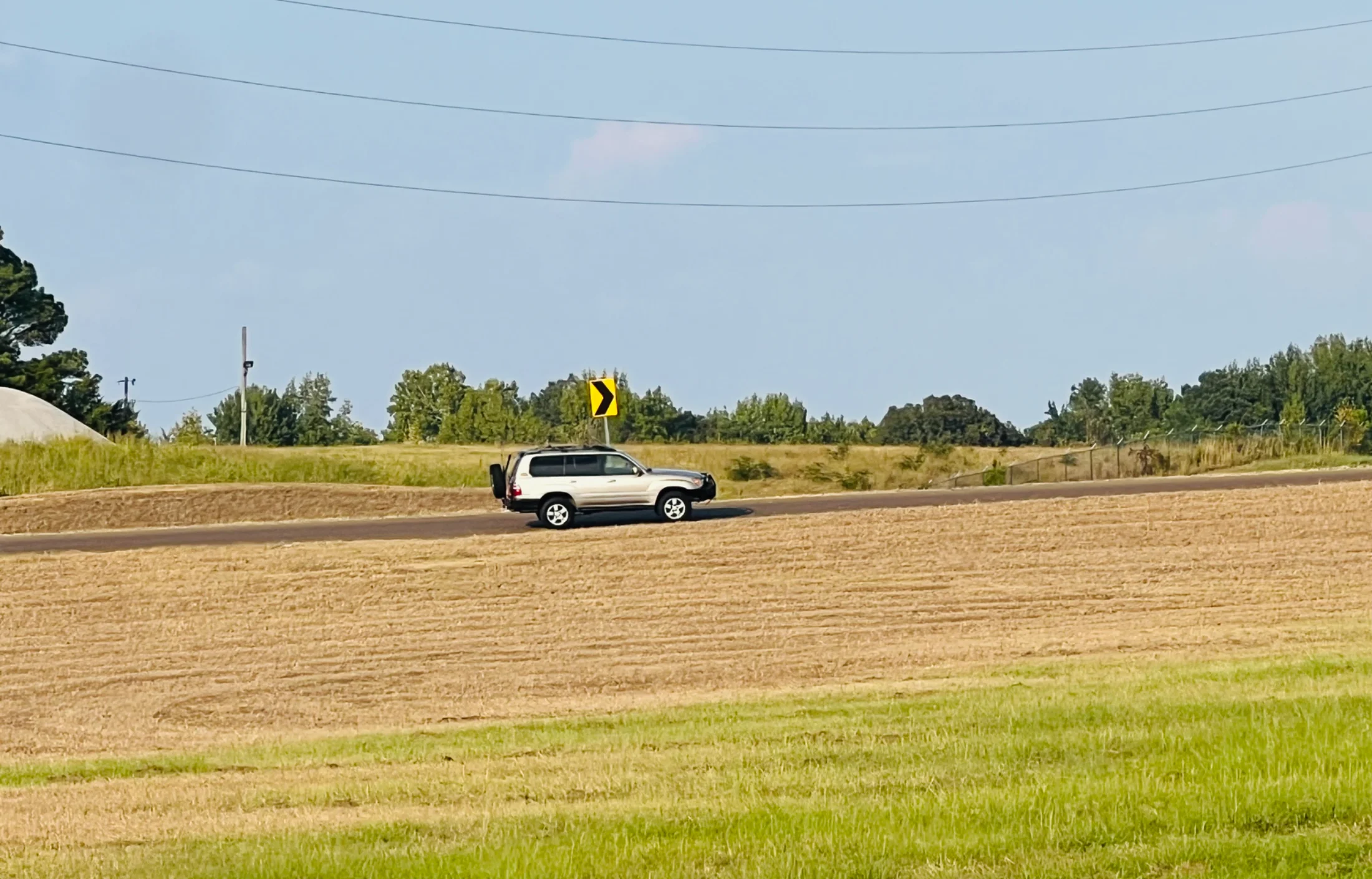 IMG_1978.webp